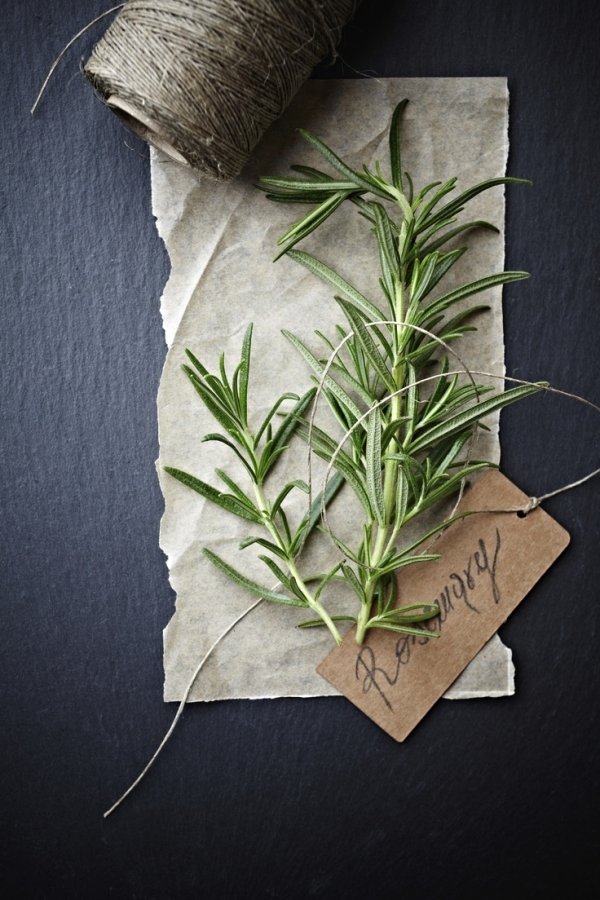 Rosemary