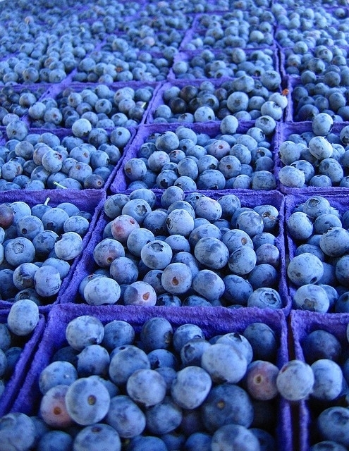 produce, color, plant, blue, food,