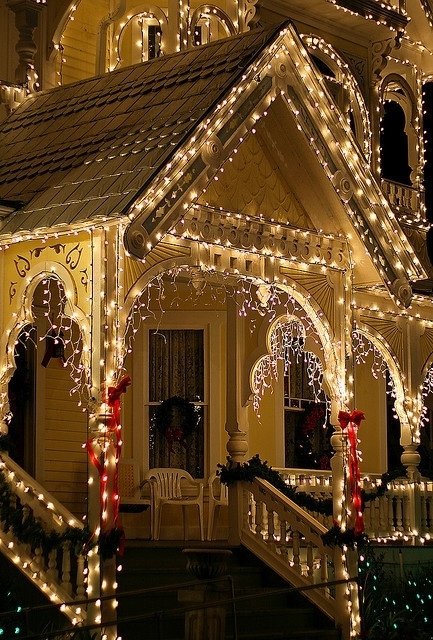 Holiday Lights