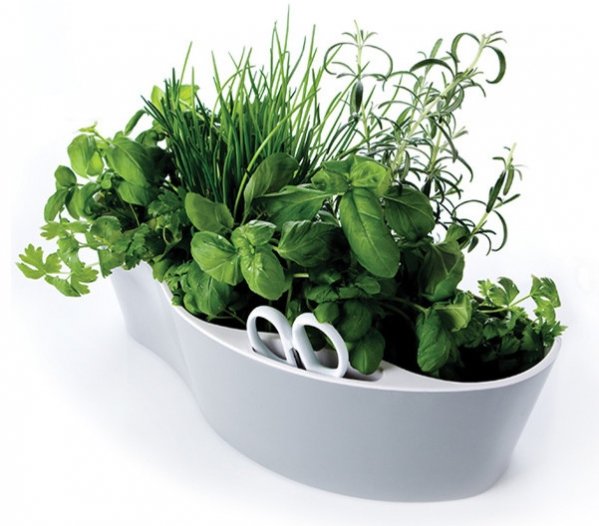 Royal VKB Herb Garden