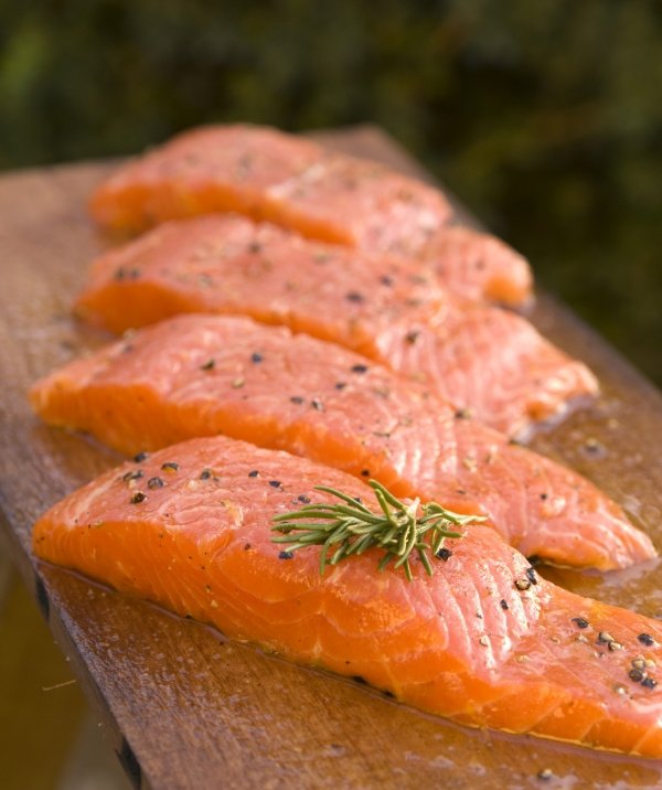 Salmon