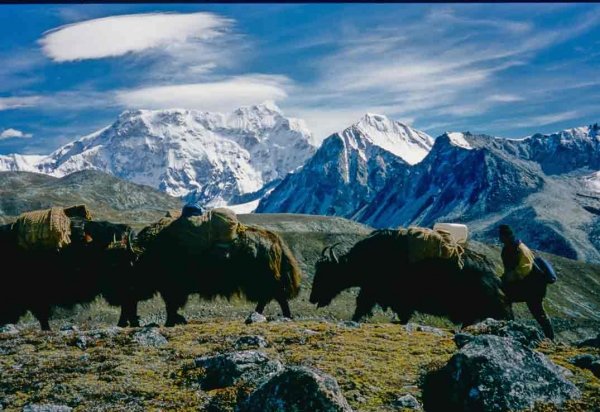 Gangkhar Puensum – Bhutan