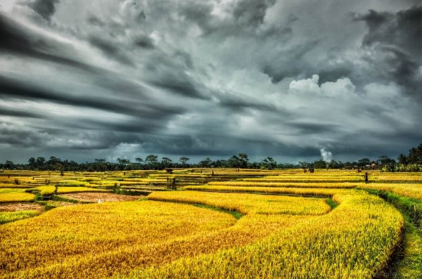 Bali, Indonesia