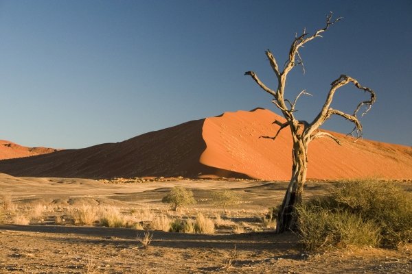 The Namib Desert, Namibia