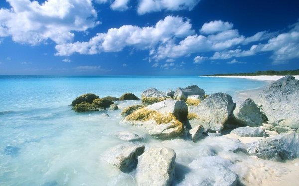 The Bahamas