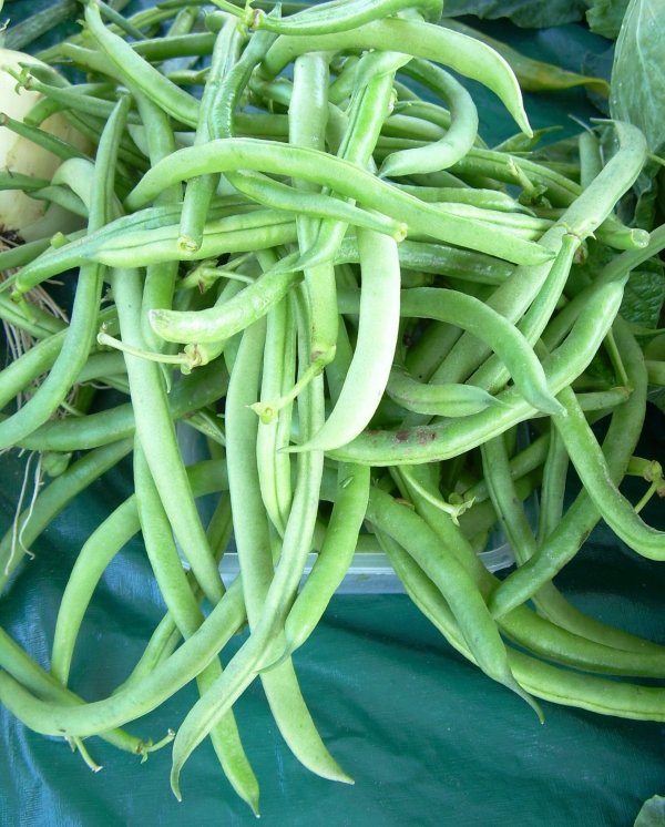 Green Beans