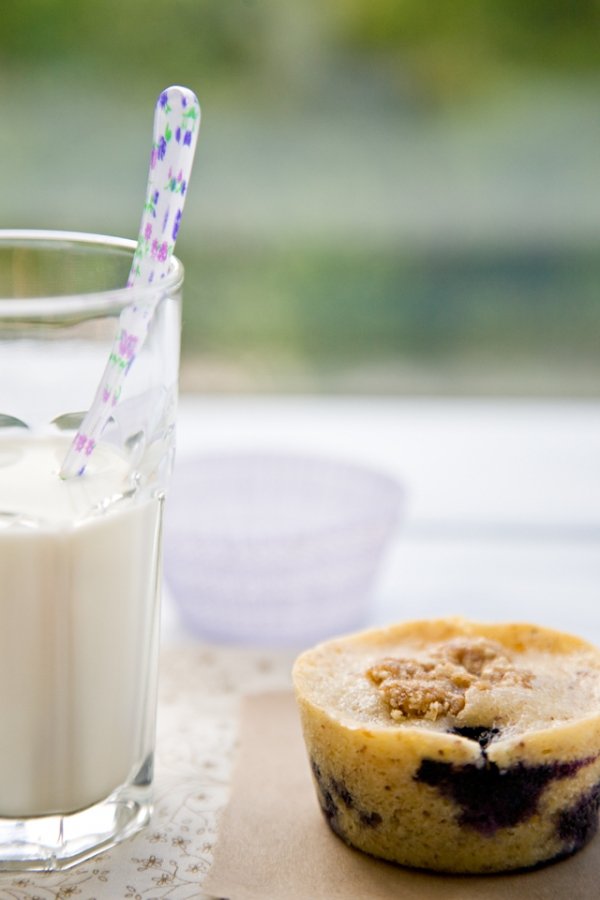 Gluten-Free Hazelnut Berry Muffins