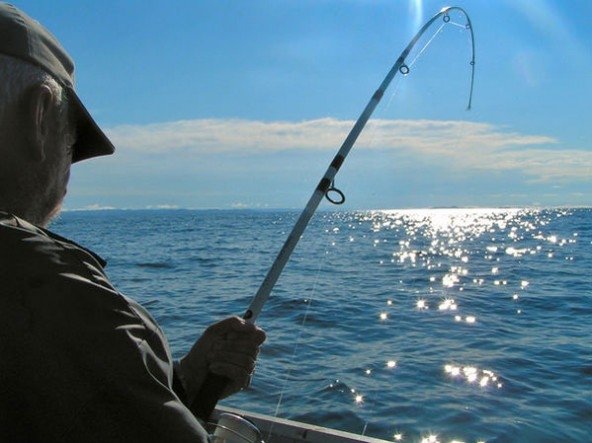 Fishing in the Bay of Islands