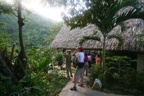 Hike at Black Rock Lodge in Cayo, Belize