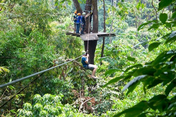 Thailand - Flight of the Gibbons, Bangkok