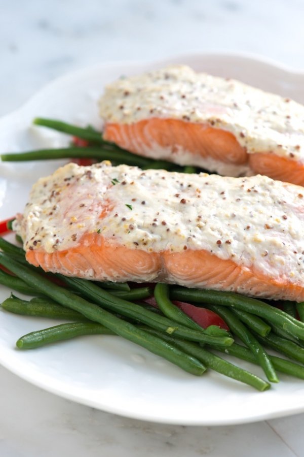 Salmon