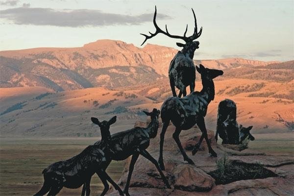 The National Museum of Wildlife Art