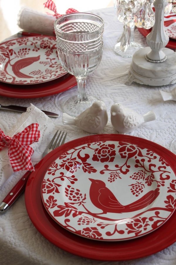 Use Red Dinnerware