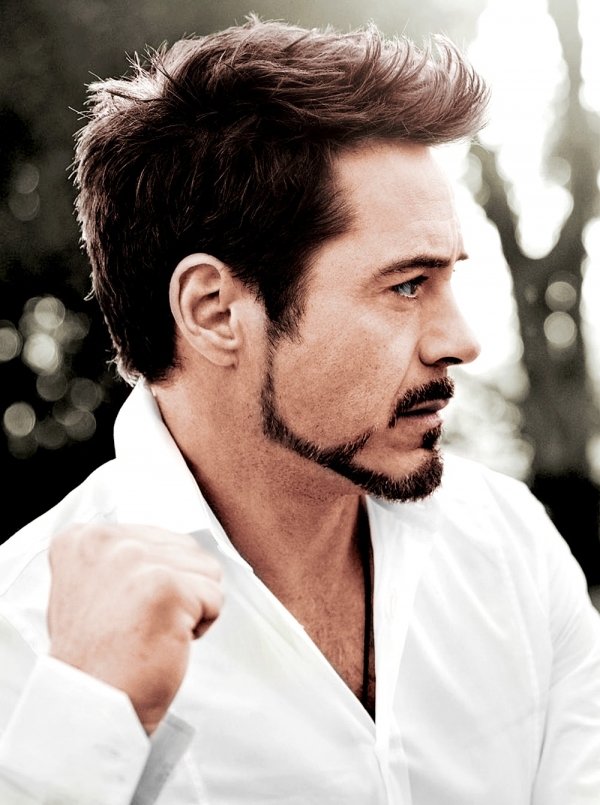 Robert Downey Jr