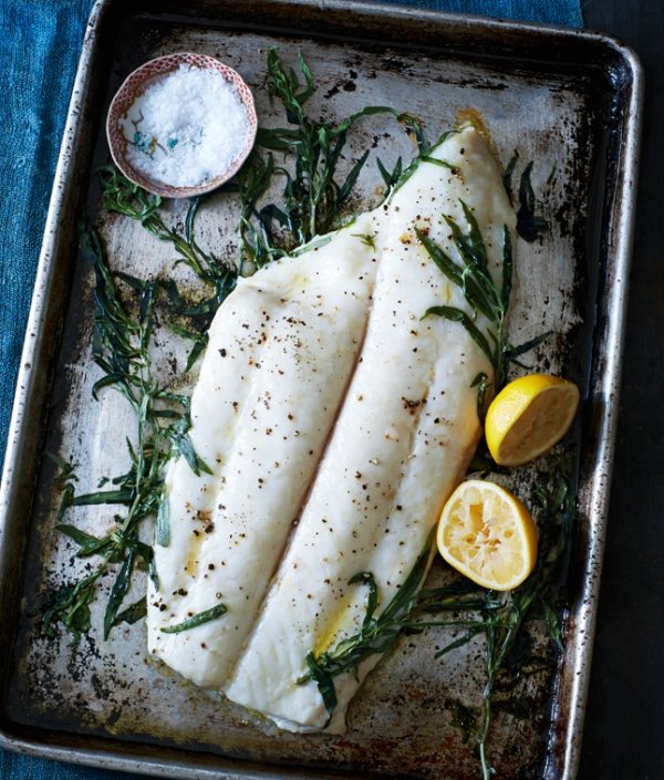 Halibut