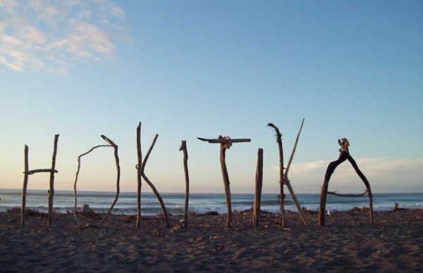 Hokitika Wildfoods Festival, New Zealand