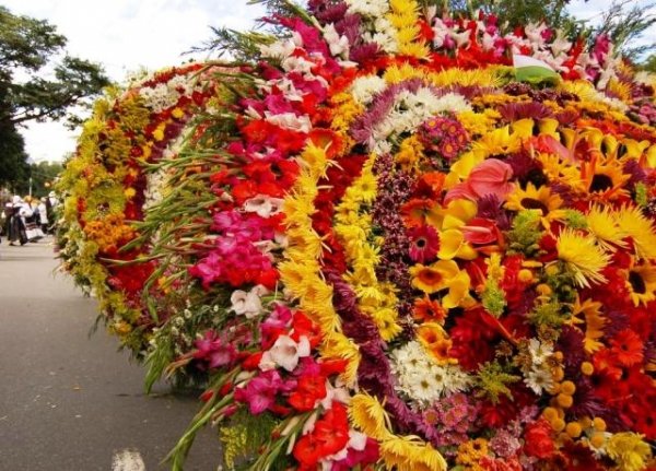 Feria De Las Flores, Colombia