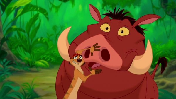 “the Lion King’s Timon & Pumbaa”