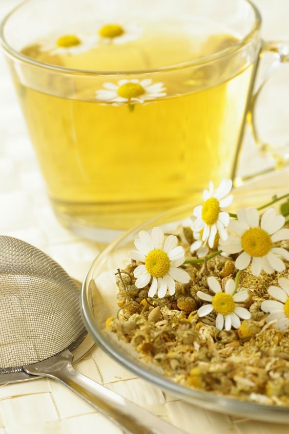 Chamomile