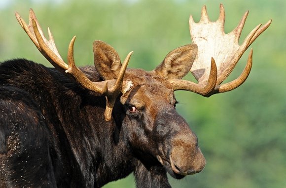 Aroostook National Wildlife Refuge