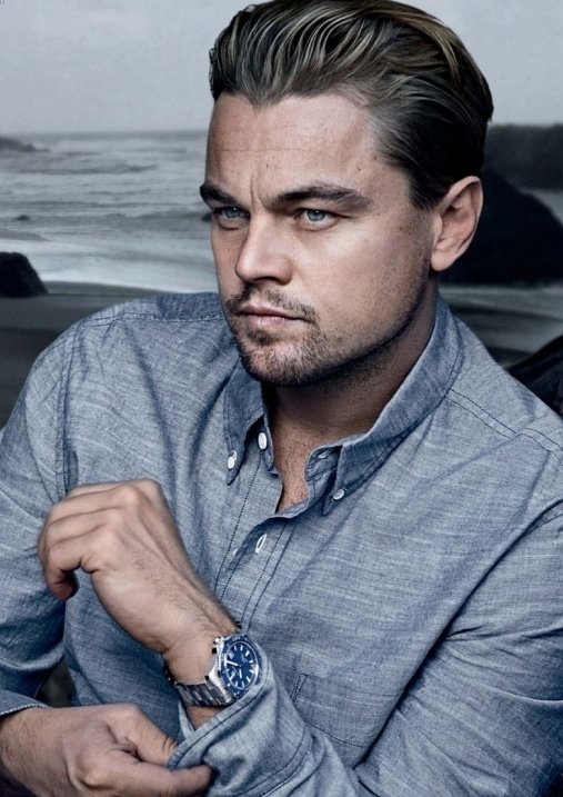 Leonardo DiCaprio