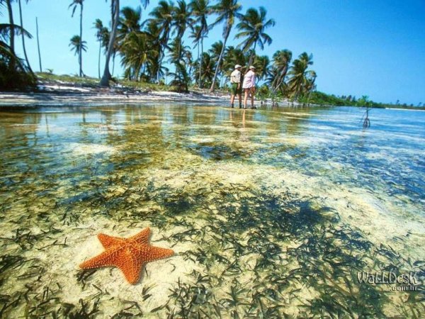 Hunt the Huay Chivo in the Yucatan