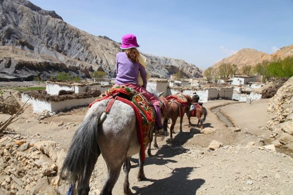 Gallop through Mustang