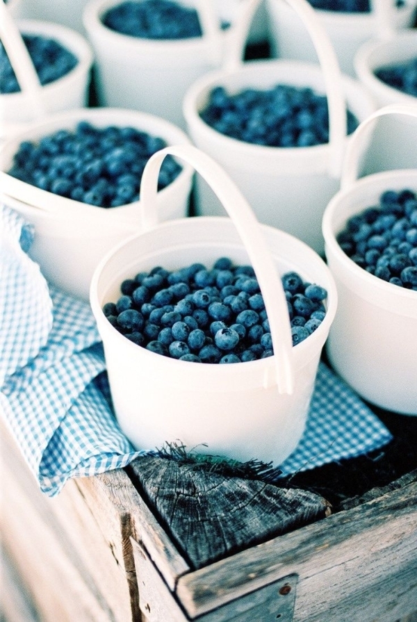 Blueberries Are the Best