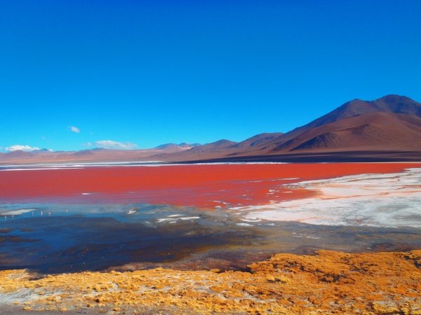 Laguna Colorada, Bolivia