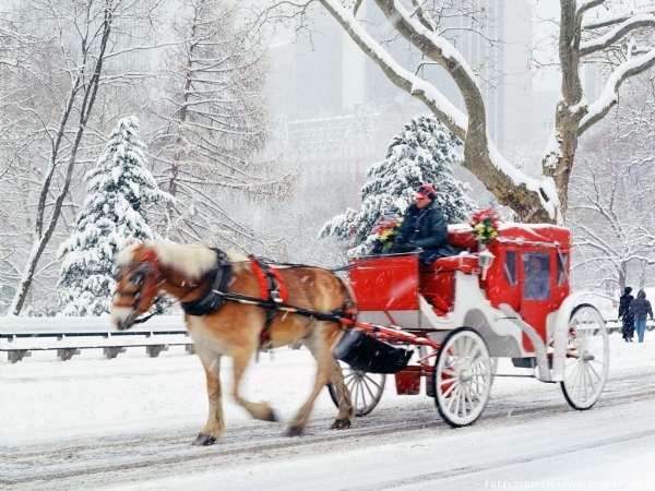 Horse-Drawn Carriage Ride