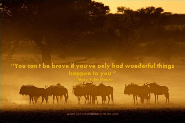 “You Can't Be Brave if You've Only Had Wonderful Things Happen to You.” - Mary Tyler Moore