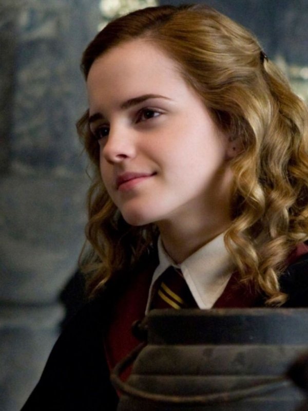 Hermione Granger (the Harry Potter Series)