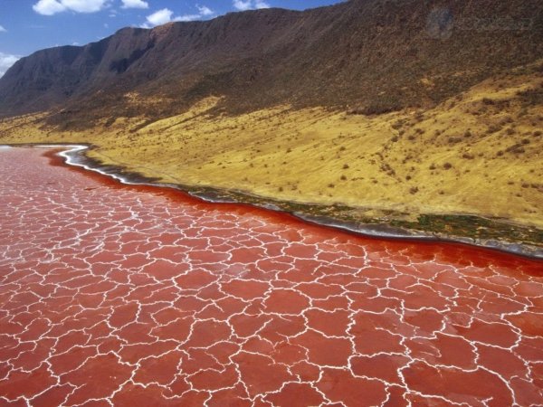 Lake Natron, Tanzania