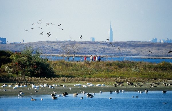 Jamaica Bay, Brooklyn