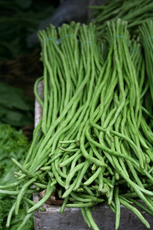 Snake Beans