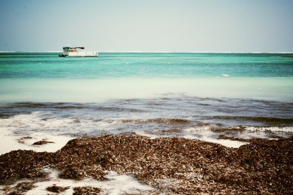 Punta Cana, Dominican Republic