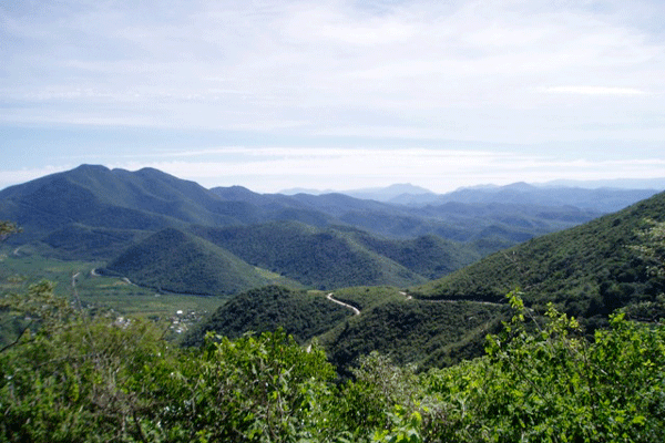 Sierra Gorda Biopshere Reserve, Mexico