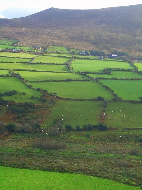 The Emerald Isle