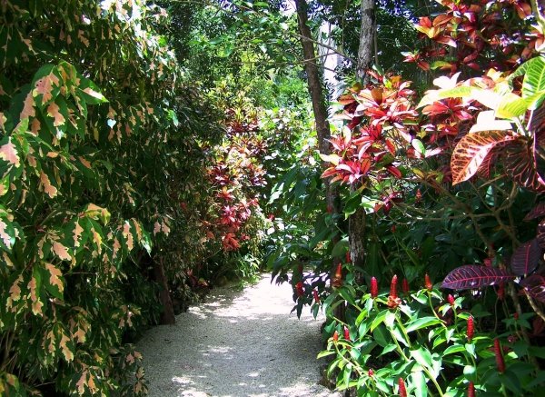 Visit Queen Elizabeth II Botanic Park