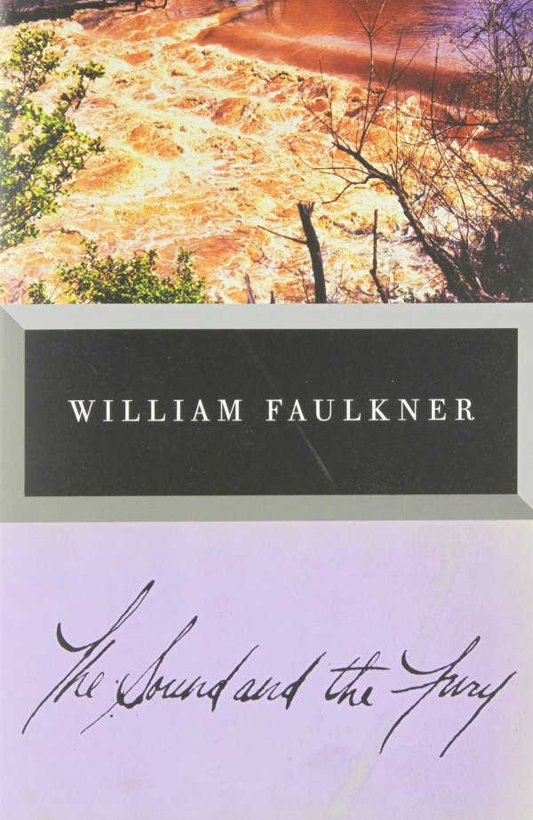 The Sound and the Fury by William Faulkner