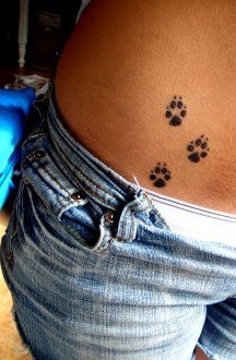 Paw Prints