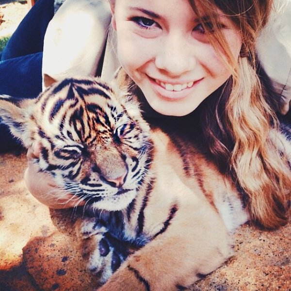 Baby Tiger!