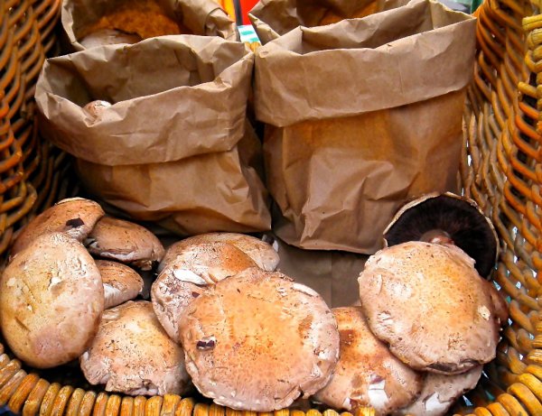 Keep Mushrooms in a Paper Bag