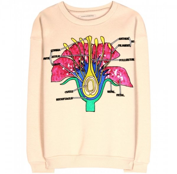 Christopher Kane Floral Embroidered Sweater