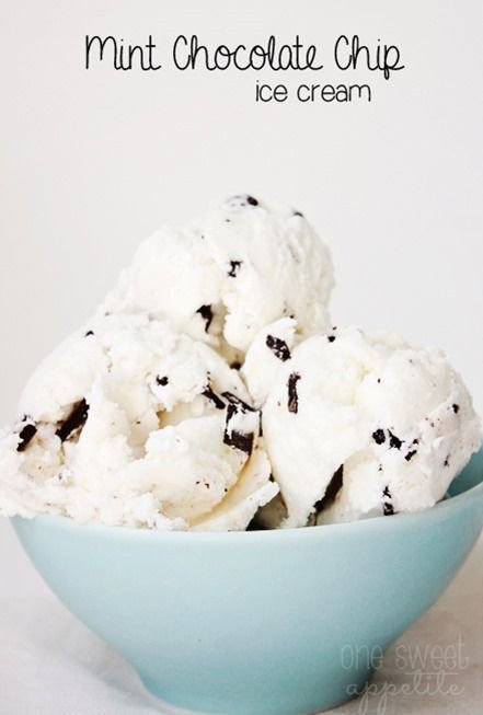 Mint Chocolate Chip Ice Cream