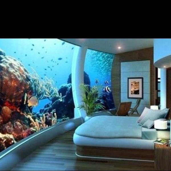 Fish Tank Headboard