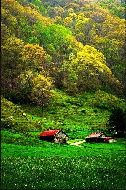 Appalachians, USA