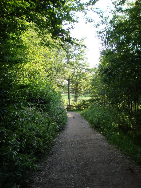 Ashdown Forest, England