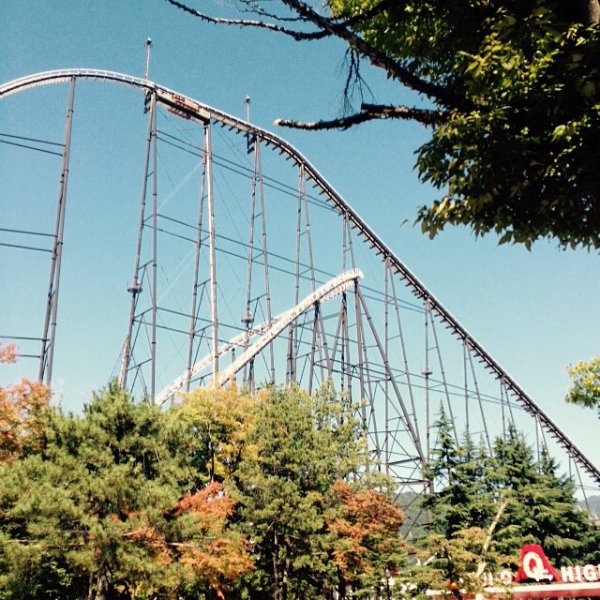 amusement ride, amusement park, bridge, roller coaster, park,