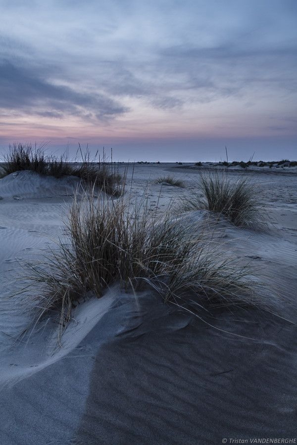 Espiguette Beach, Le Grau-du-Roi